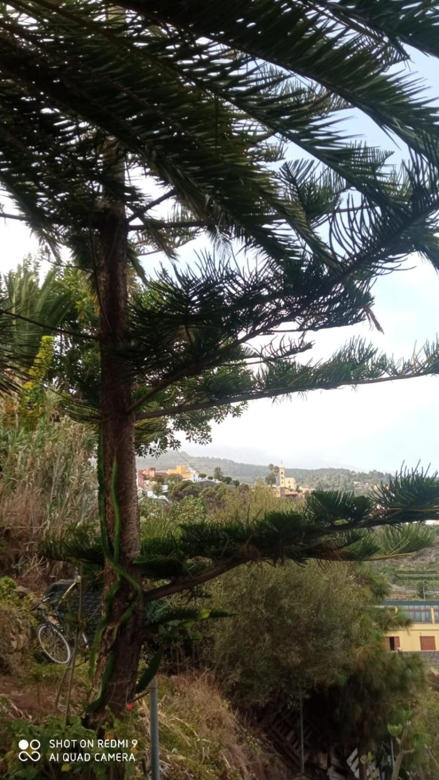 דירות La Guancha 2Faros מראה חיצוני תמונה